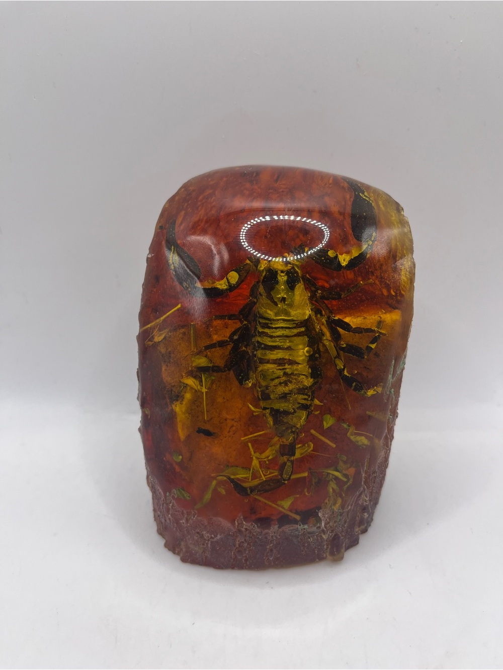 Resin Faux Amber Scorpion Specimen Paperweight